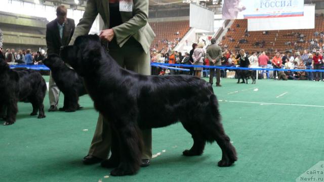 Фотография № 18361