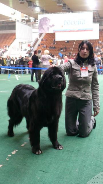 Фотография № 18362