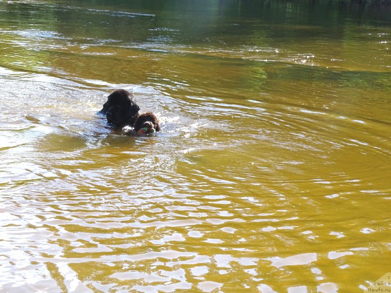 Фотография № 183629