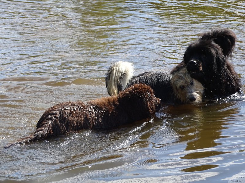 Фотография № 183630