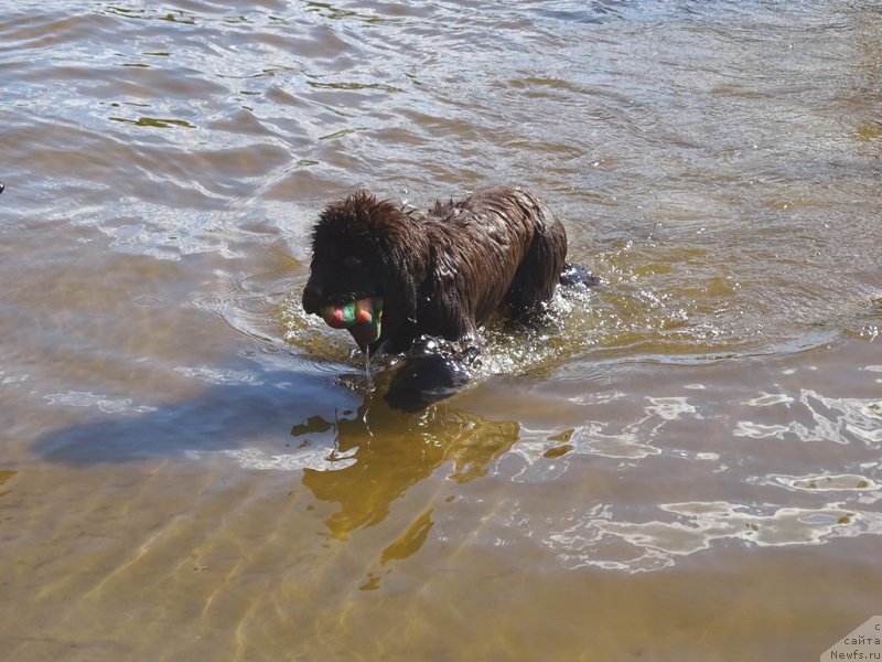 Фотография № 183631