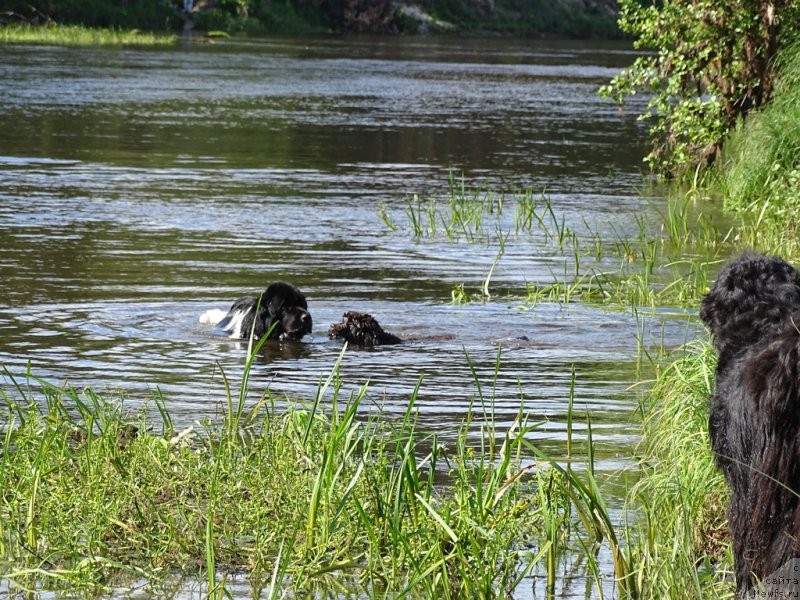 Фотография № 183632