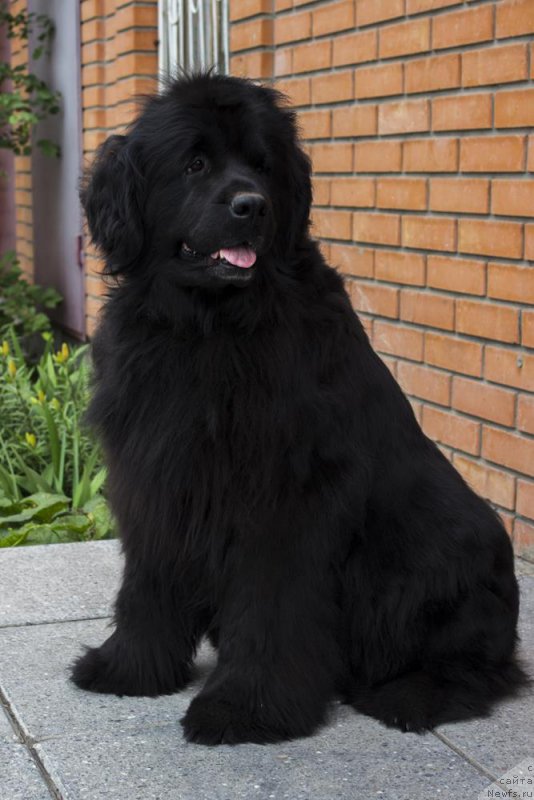 Фотография № 183633