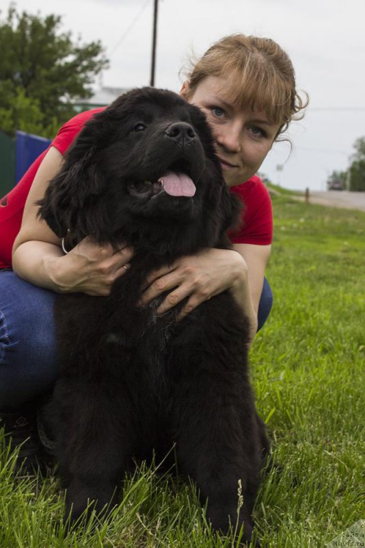 Фотография № 183640