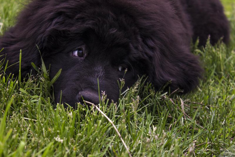 Фотография № 183641