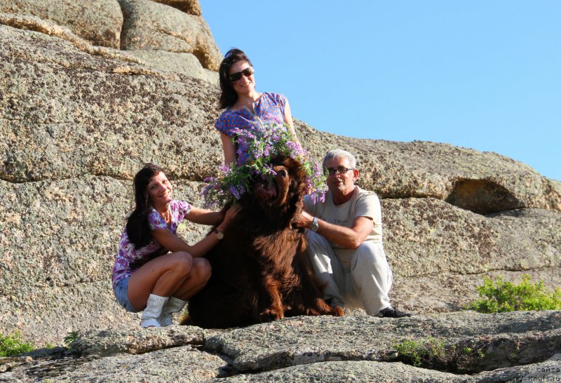 Фотография № 183643