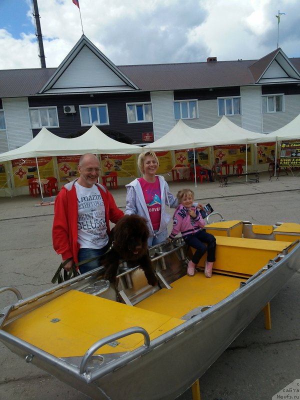 Фото: ньюфаундленд Vereskovyj Mjod s Berega Dona (Вересковый Мёд с Берега Дона)