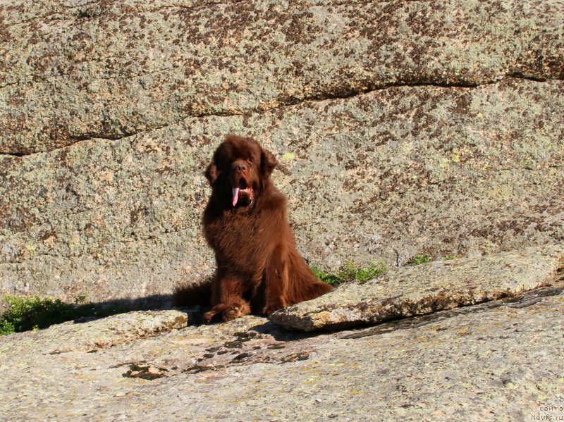 Фотография № 183652