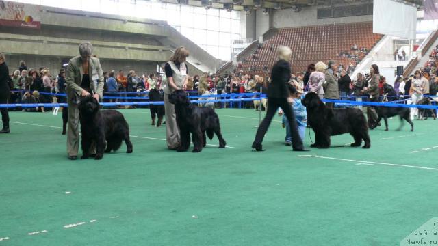 Фотография № 18367