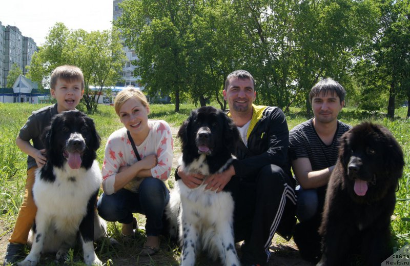 Фото: Alina Grickova (Алина Грицкова), Sergey Sorokin (Сергей Сорокин), ньюфаундленд Sent Djons Donna Summer (Сент Джонс Донна Саммер), ньюфаундленд Sent Djons Intriga (Сент Джонс Интрига), ньюфаундленд Gessi ot Sibirskogo Medvedja (Гесси от Сибирского Медведя)