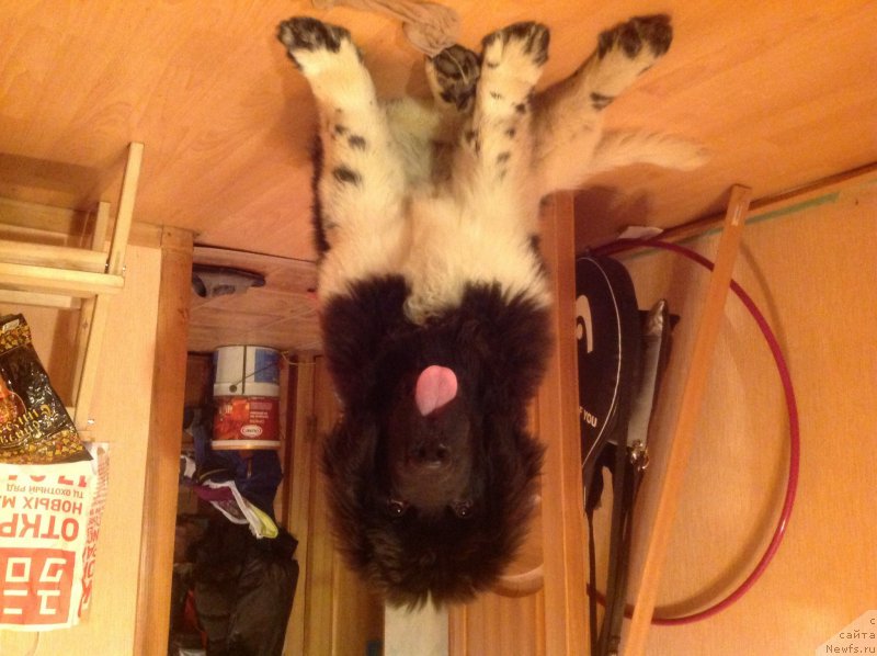 Фото: Anastasiya Kiseleva (Анастасия Киселева)