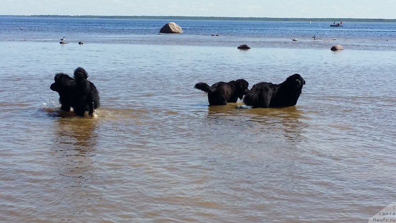 Фотография № 183722