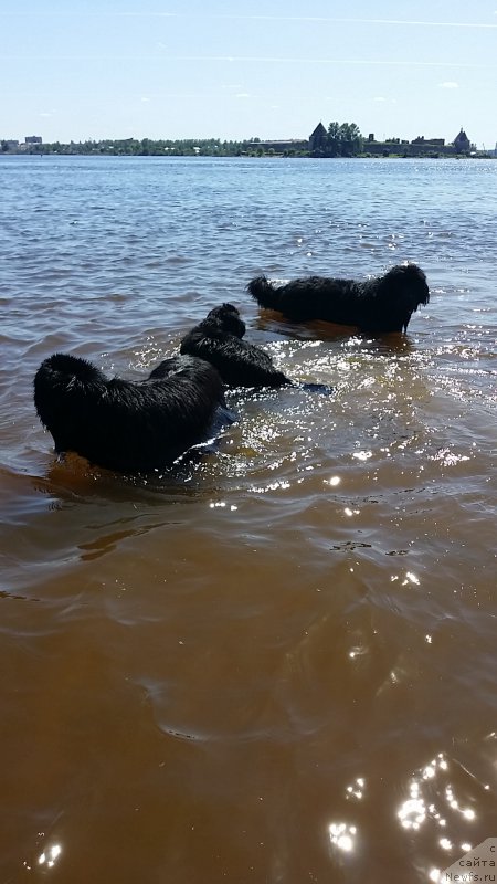 Фотография № 183724