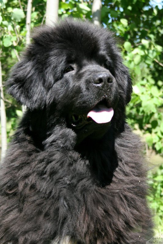 Фотография № 183746