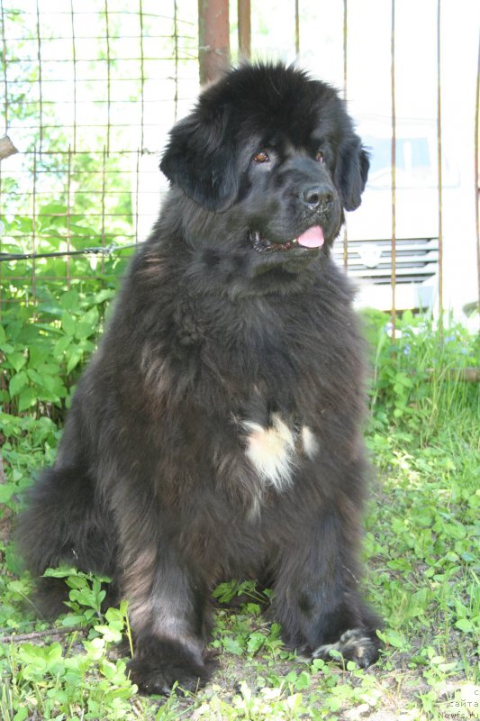 Фотография № 183752