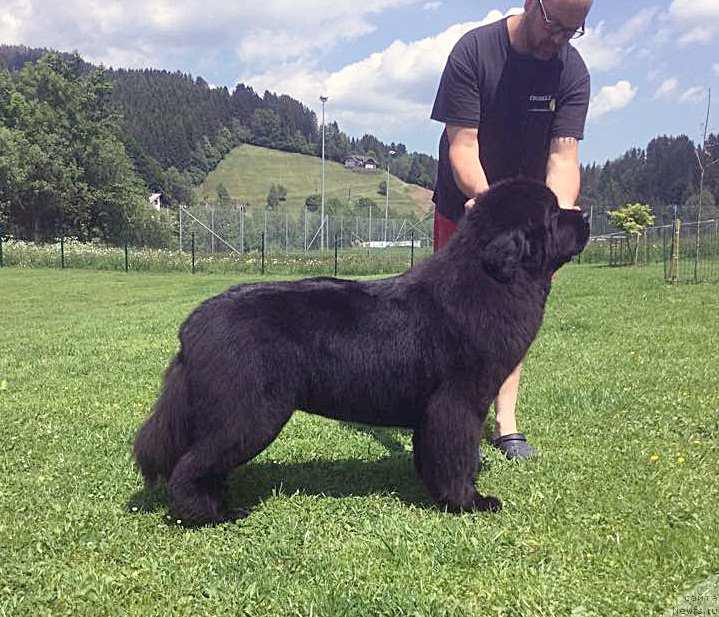 Фотография № 183753