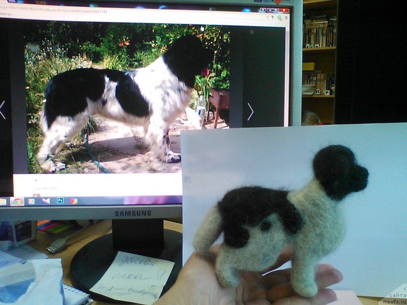 Фото: ньюфаундленд Stepnaya Pal'mira Estestvenno YA Luchshiy (Степная Пальмира Естественно Я Лучший)