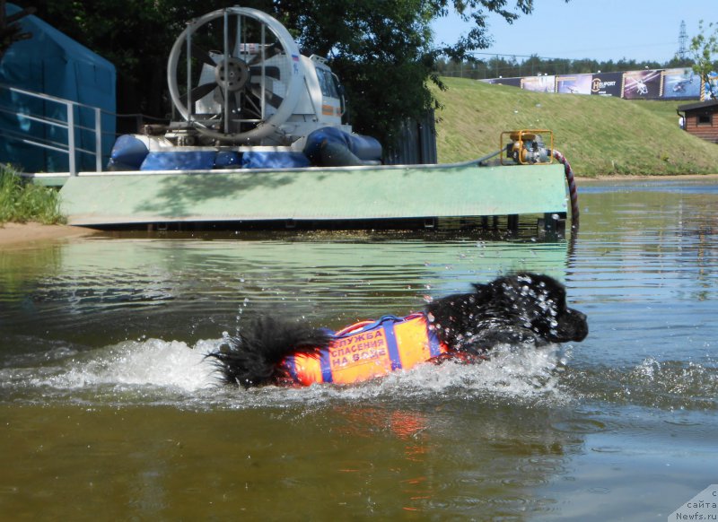 Фотография № 183836