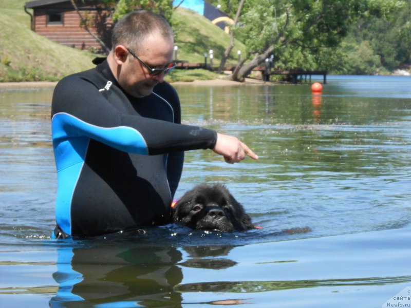 Фотография № 183839