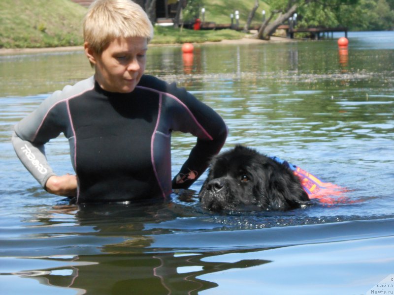 Фото: Larisa Kutina (Лариса Кутина), ньюфаундленд Belkonder-Club Ugli-Boogli (Белкондер-Клаб Угли-Бугли)