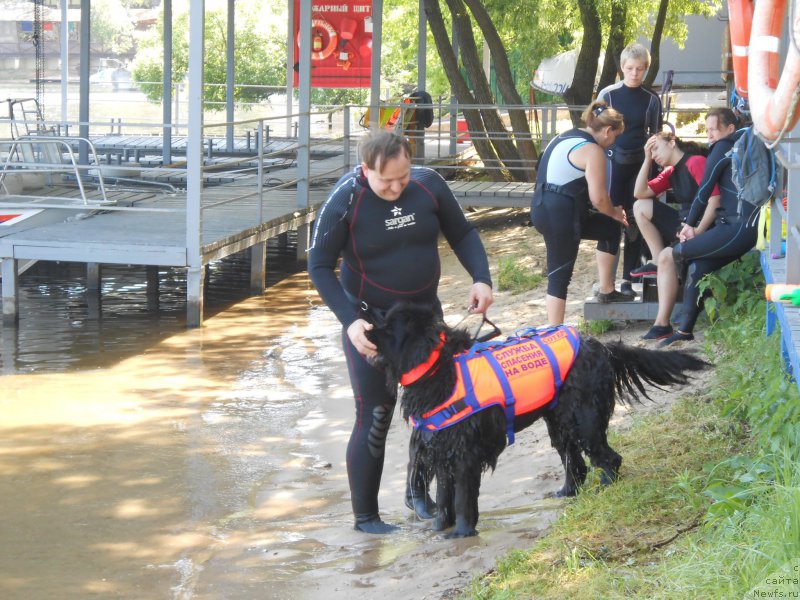 Фотография № 183848