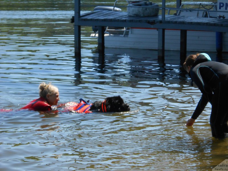 Фотография № 183860