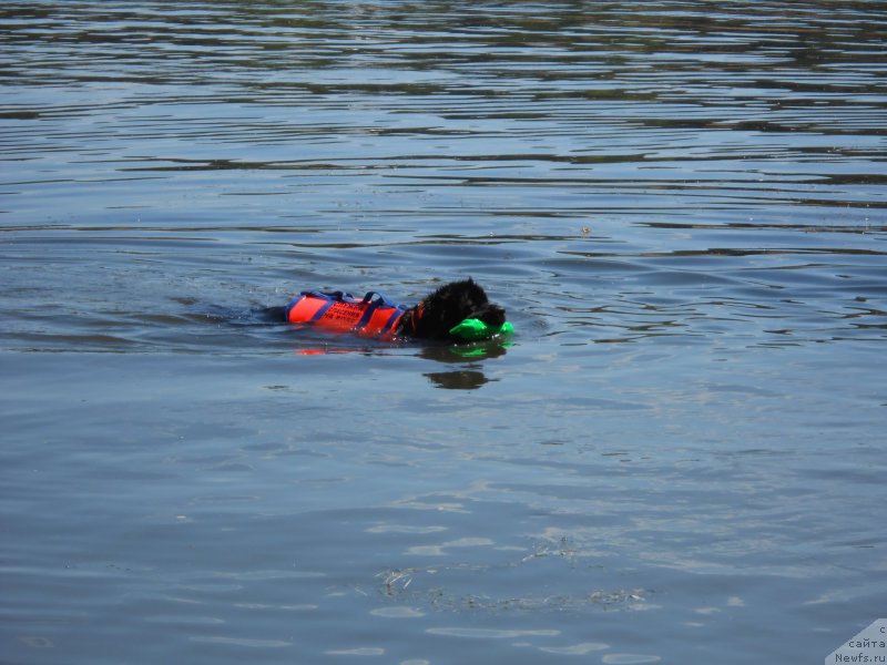 Фотография № 183862