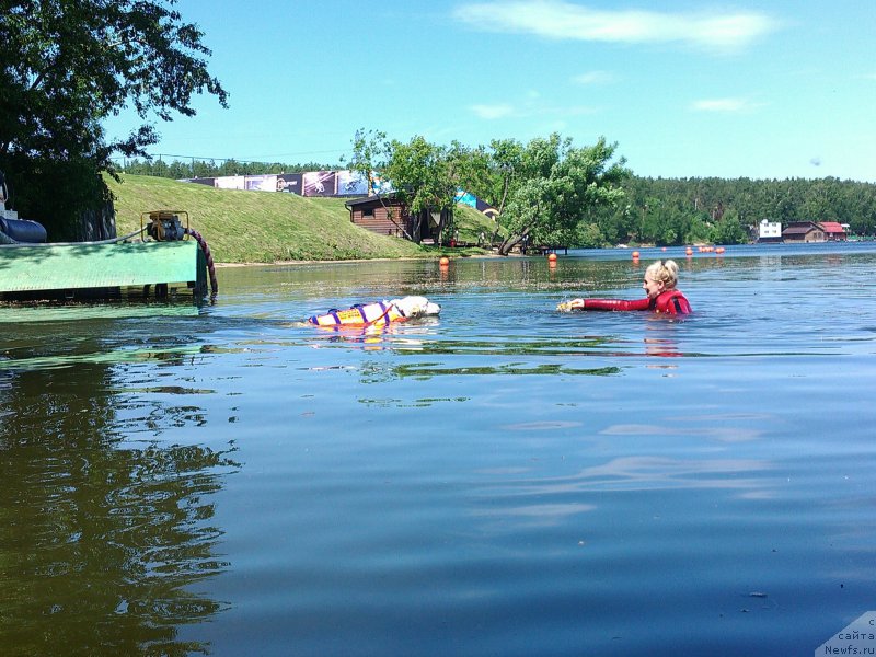 Фото: Айрис, Ol'ga Muzyichuk (Ольга Музычук)