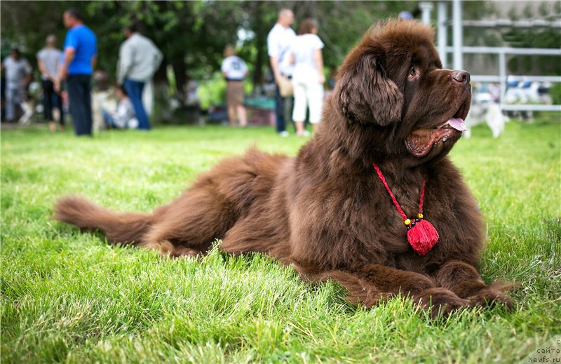 Фотография № 183871