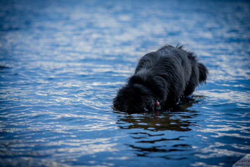 Фотография № 183874