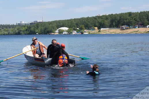 Фотография № 183901