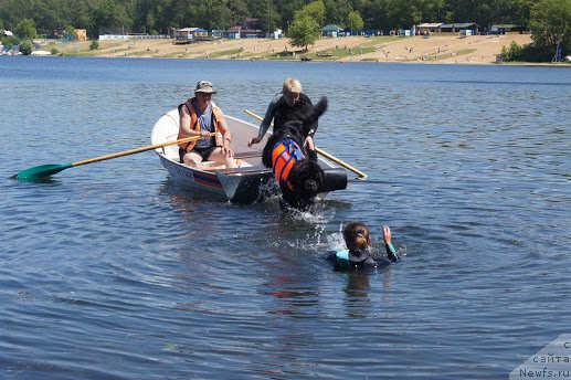 Фото: Larisa Kutina (Лариса Кутина), ньюфаундленд Belkonder-Club Ugli-Boogli (Белкондер-Клаб Угли-Бугли)
