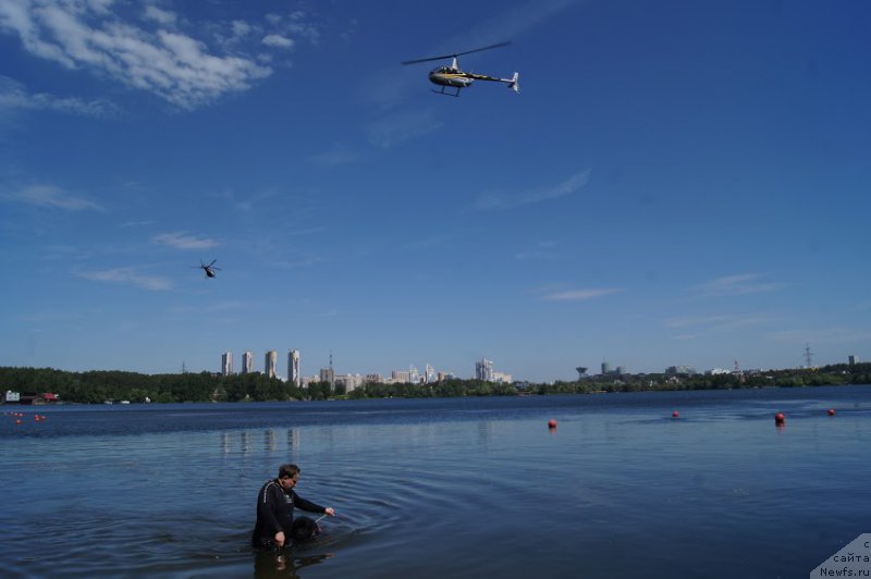 Фотография № 183914