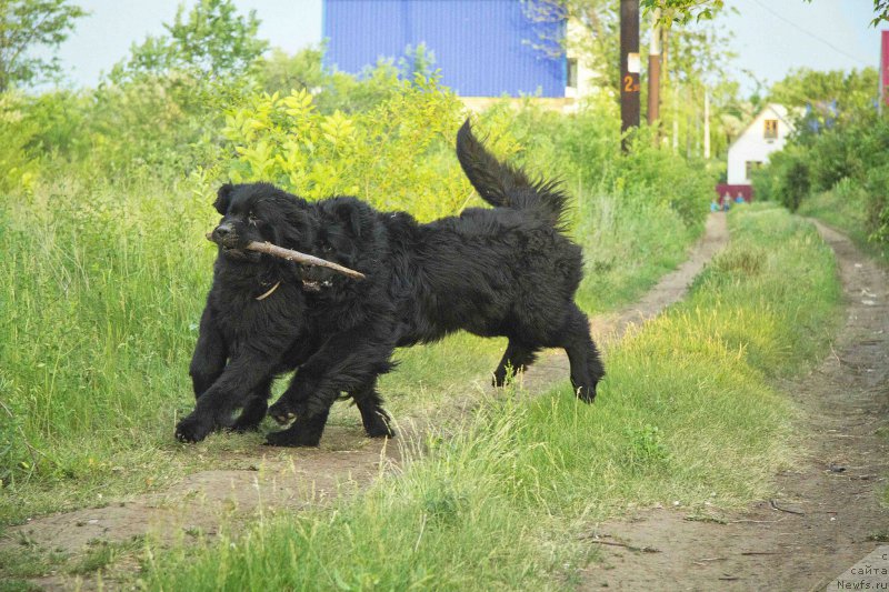 Фотография № 183981