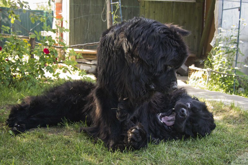 Фотография № 184001