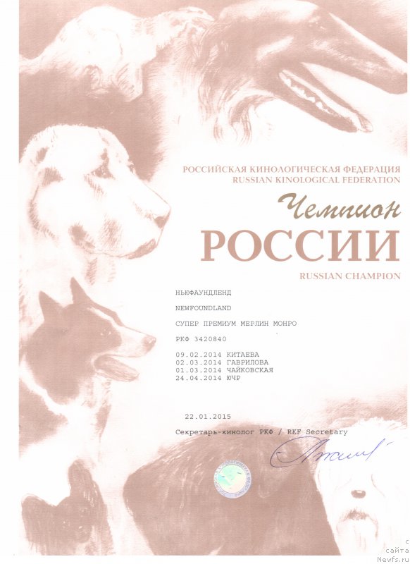 Фотография № 184013