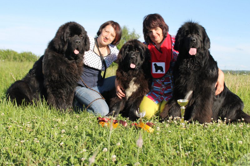 Фотография № 184115