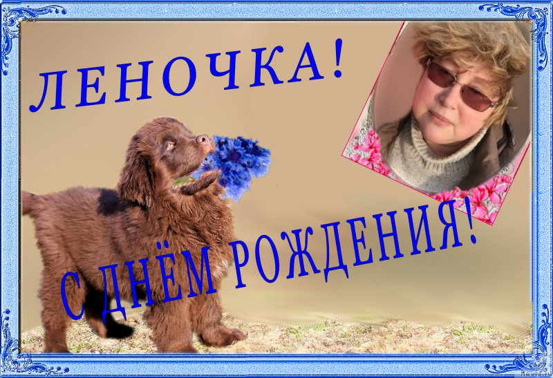 Фотография № 184135