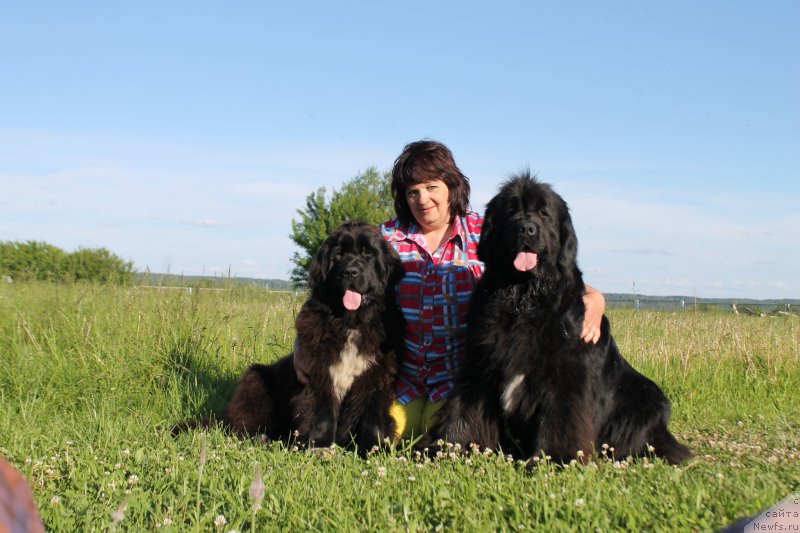 Фотография № 184145