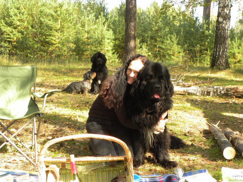 Фотография № 184148