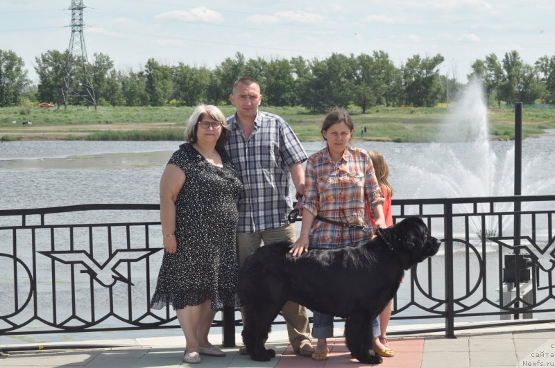 Фото: ньюфаундленд Kara Ayular Dagmara Queen of Wisdom, Marina Turapina (Марина Турапина), Инна Рыдченко