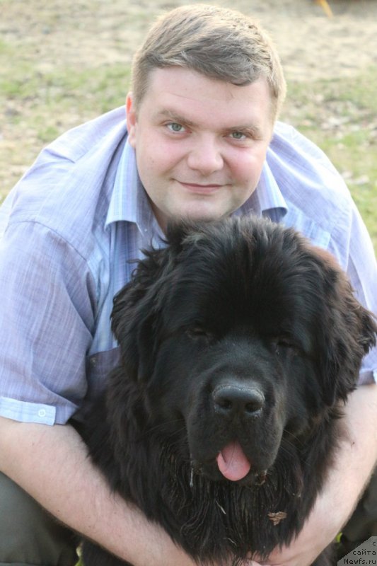 Фото: Aleksandr Ponomaryov (Александр Пономарёв), ньюфаундленд Sent Djons Konan (Сент Джонс Конан)