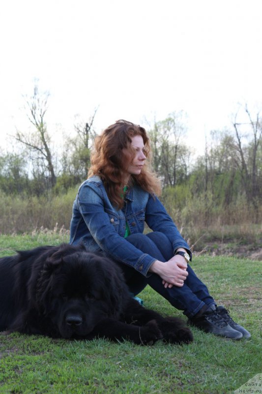 Фотография № 184151