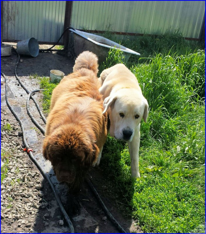 Фотография № 184167