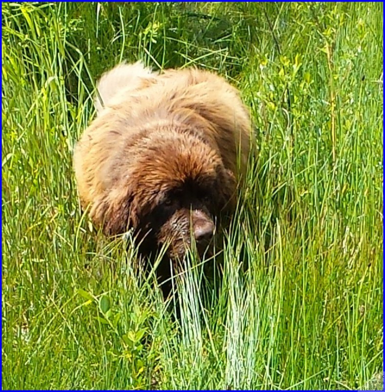 Фотография № 184191