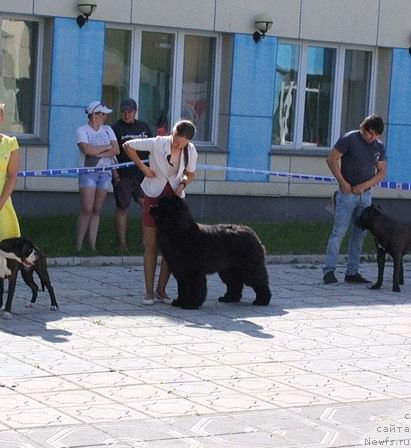 Фотография № 184193