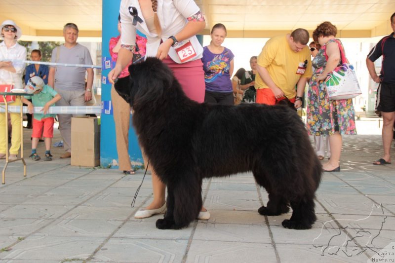 Фотография № 184195