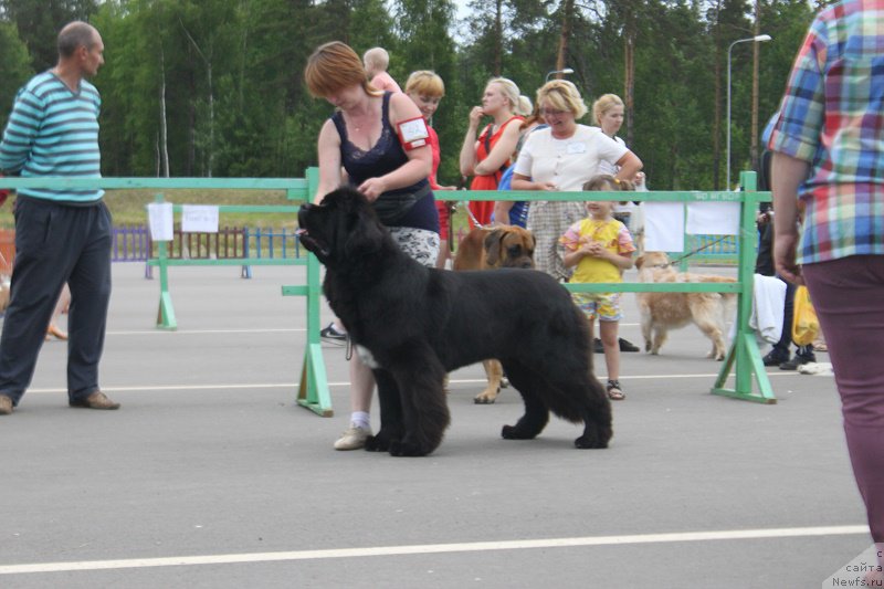 Фотография № 184200