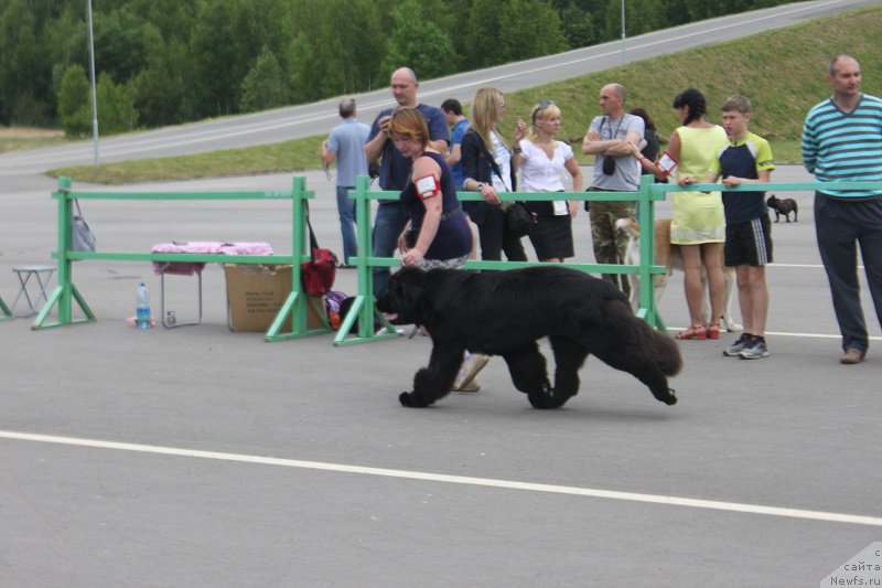 Фотография № 184202