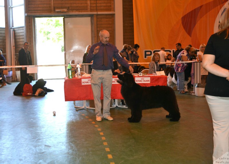 Фотография № 184207